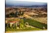 Vineyards Surround the Belvedere House-Terry Eggers-Stretched Canvas