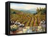 Vineyards to Mount St. Helena-Ellie Freudenstein-Framed Stretched Canvas