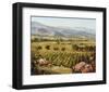 Vineyards to Vaca Mountains-Ellie Freudenstein-Framed Art Print