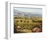 Vineyards to Vaca Mountains-Ellie Freudenstein-Framed Art Print