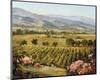 Vineyards to Vaca Mountains-Ellie Freudenstein-Mounted Art Print