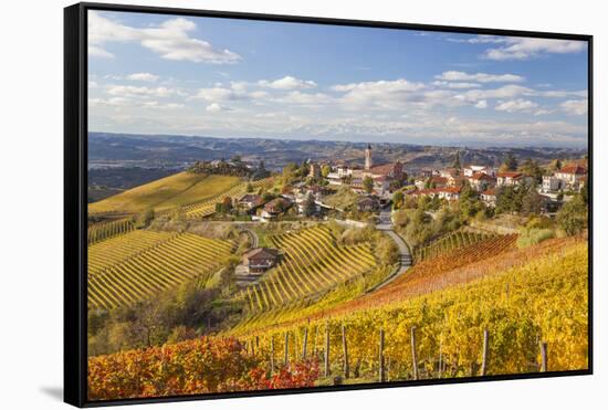 Vineyards, Treiso, Alba, Langhe, Piedmont, Italy-Peter Adams-Framed Stretched Canvas