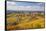 Vineyards, Treiso, Alba, Langhe, Piedmont, Italy-Peter Adams-Framed Stretched Canvas