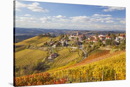 Vineyards, Treiso, Alba, Langhe, Piedmont, Italy-Peter Adams-Stretched Canvas