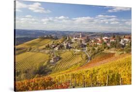 Vineyards, Treiso, Alba, Langhe, Piedmont, Italy-Peter Adams-Stretched Canvas