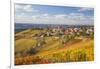 Vineyards, Treiso, Alba, Langhe, Piedmont, Italy-Peter Adams-Framed Photographic Print