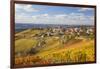 Vineyards, Treiso, Alba, Langhe, Piedmont, Italy-Peter Adams-Framed Photographic Print