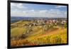 Vineyards, Treiso, Alba, Langhe, Piedmont, Italy-Peter Adams-Framed Photographic Print