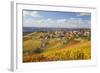 Vineyards, Treiso, Alba, Langhe, Piedmont, Italy-Peter Adams-Framed Photographic Print