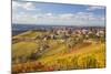 Vineyards, Treiso, Alba, Langhe, Piedmont, Italy-Peter Adams-Mounted Photographic Print