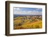 Vineyards, Treiso, Alba, Langhe, Piedmont, Italy-Peter Adams-Framed Photographic Print