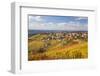 Vineyards, Treiso, Alba, Langhe, Piedmont, Italy-Peter Adams-Framed Photographic Print