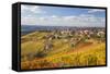 Vineyards, Treiso, Alba, Langhe, Piedmont, Italy-Peter Adams-Framed Stretched Canvas