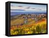 Vineyards, Treiso, Nr Alba, Langhe, Piedmont (or Piemonte or Piedmonte), Italy-Peter Adams-Framed Stretched Canvas