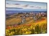 Vineyards, Treiso, Nr Alba, Langhe, Piedmont (or Piemonte or Piedmonte), Italy-Peter Adams-Mounted Photographic Print