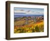 Vineyards, Treiso, Nr Alba, Langhe, Piedmont (or Piemonte or Piedmonte), Italy-Peter Adams-Framed Photographic Print