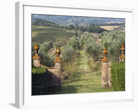 Vineyards, Tuscany, Italy-Adam Jones-Framed Photographic Print