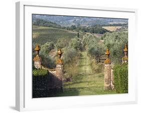 Vineyards, Tuscany, Italy-Adam Jones-Framed Photographic Print