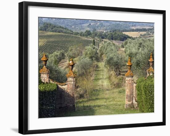 Vineyards, Tuscany, Italy-Adam Jones-Framed Photographic Print