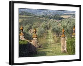 Vineyards, Tuscany, Italy-Adam Jones-Framed Photographic Print