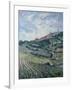 Vineyards, Tuscany-Rosemary Lowndes-Framed Giclee Print