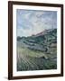 Vineyards, Tuscany-Rosemary Lowndes-Framed Giclee Print