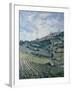 Vineyards, Tuscany-Rosemary Lowndes-Framed Giclee Print