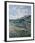 Vineyards, Tuscany-Rosemary Lowndes-Framed Giclee Print