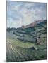 Vineyards, Tuscany-Rosemary Lowndes-Mounted Giclee Print