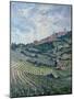 Vineyards, Tuscany-Rosemary Lowndes-Mounted Giclee Print