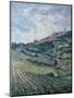 Vineyards, Tuscany-Rosemary Lowndes-Mounted Giclee Print