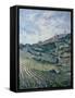 Vineyards, Tuscany-Rosemary Lowndes-Framed Stretched Canvas