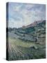 Vineyards, Tuscany-Rosemary Lowndes-Stretched Canvas