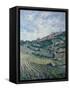 Vineyards, Tuscany-Rosemary Lowndes-Framed Stretched Canvas