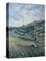 Vineyards, Tuscany-Rosemary Lowndes-Stretched Canvas