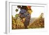 Vineyards with Red Wine Grapes in Autumn at Sunset, Esslingen, Baden Wurttemberg, Germany, Europe-Markus Lange-Framed Photographic Print