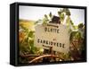 Vineyards-Ian Shive-Framed Stretched Canvas