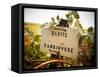 Vineyards-Ian Shive-Framed Stretched Canvas