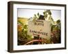 Vineyards-Ian Shive-Framed Photographic Print