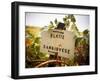 Vineyards-Ian Shive-Framed Photographic Print