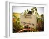 Vineyards-Ian Shive-Framed Photographic Print