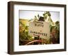 Vineyards-Ian Shive-Framed Photographic Print