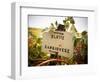 Vineyards-Ian Shive-Framed Photographic Print