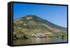 Vineyars in Douro Valley-homydesign-Framed Stretched Canvas