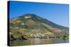 Vineyars in Douro Valley-homydesign-Stretched Canvas