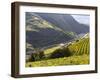 Viniculture and the Brenner Motorway in Fall, South Tyrol, Italy-Martin Zwick-Framed Photographic Print