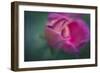 Vining Geranium Bud, Digitally Altered-Rona Schwarz-Framed Photographic Print