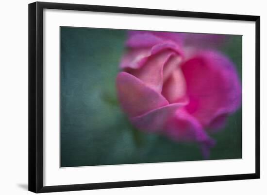 Vining Geranium Bud, Digitally Altered-Rona Schwarz-Framed Photographic Print