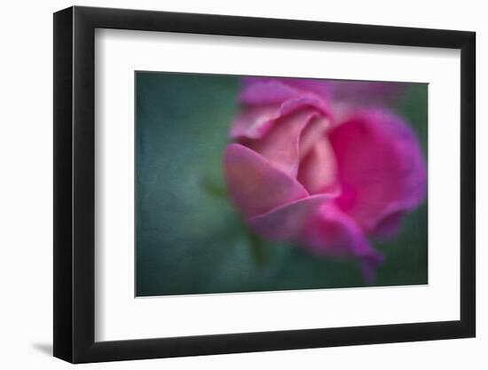 Vining Geranium Bud, Digitally Altered-Rona Schwarz-Framed Photographic Print