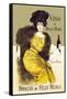 Vino de Rioja-Haro-Ramon Casas-Framed Stretched Canvas